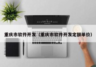 重庆市软件开发（重庆市软件开发定额单价）